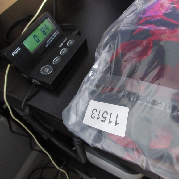 Tobi Dress Small Floral Velvet Burnout Maxi Sheer Y2K Whimsigoth Fairy Vamp Goth - Picture 12 of 12